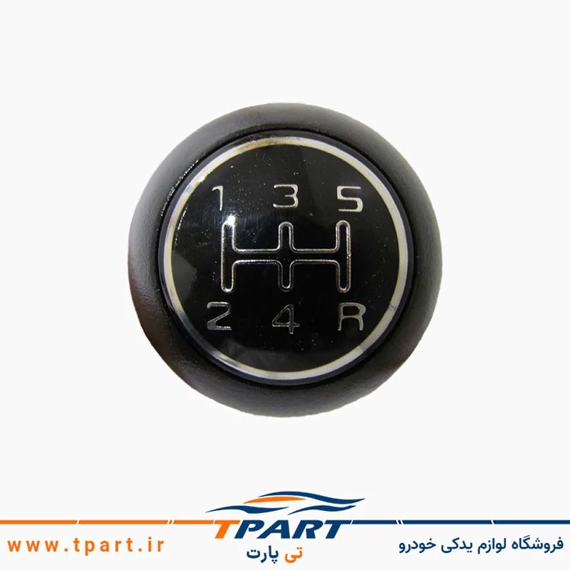 سر دنده تیبا