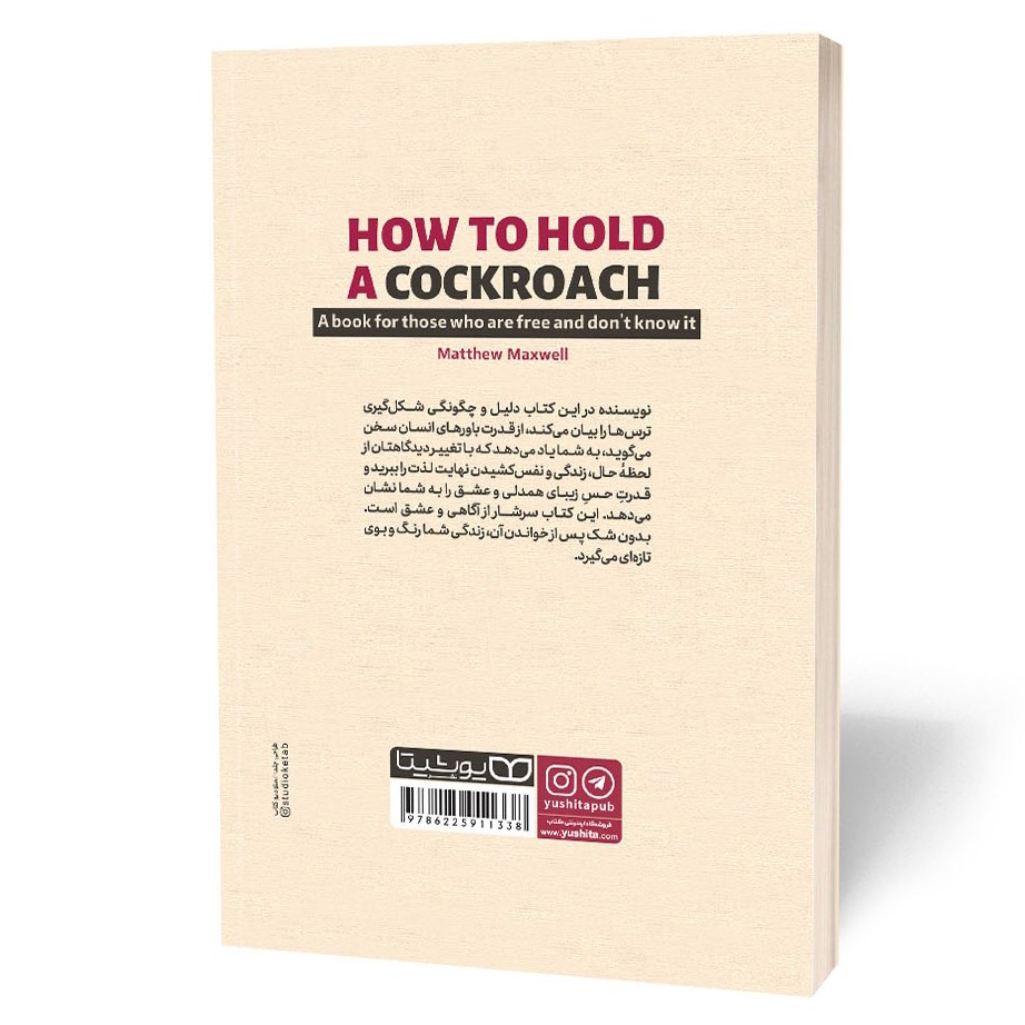 کتاب چطور یک سوسک را در دست بگیریم اثر مکسول مترجم فاطمه لطفی انتشارات یوشیتا