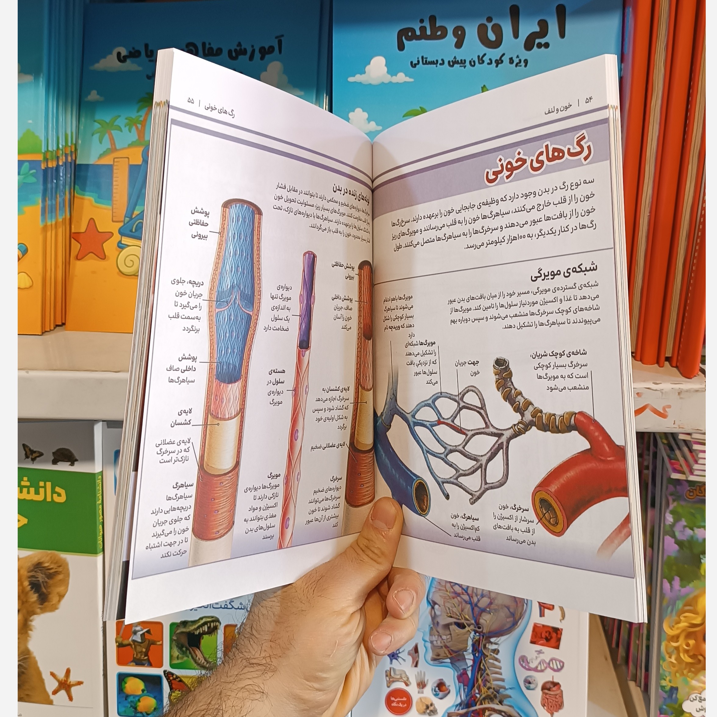 کتاب دانشنامه مصور بدن انسان اثر پنلوپ آرلون مترجم محبوبه صادقی انتشارات آذربیان