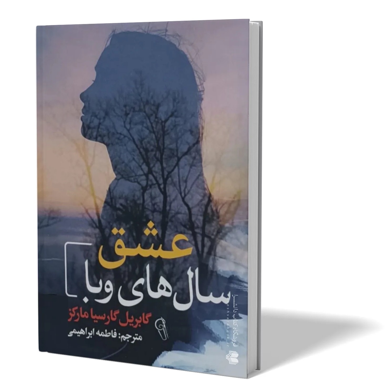 کتاب عشق سال های وبا اثر گابریل گارسیا مارکز مترجم فاطمه ابراهیمی انتشارات آزرمیدخت