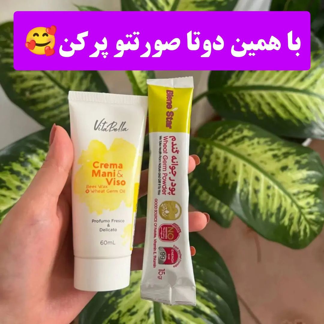 پک پر شدن صورت پودر جوانه گندم و کرم جوانه گندم اصل.