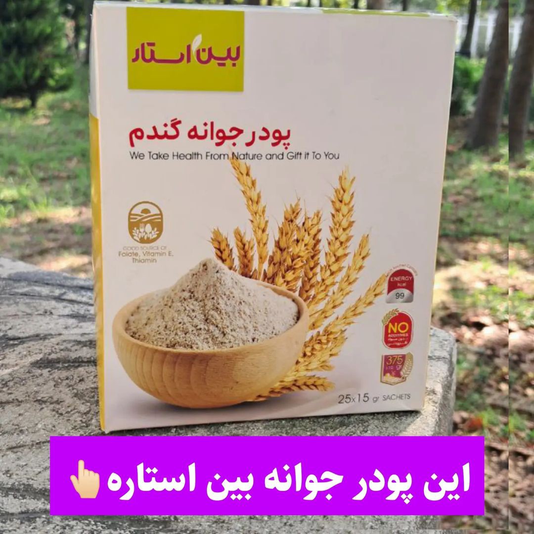 پودر جوانه گندم بین استار اصلی.