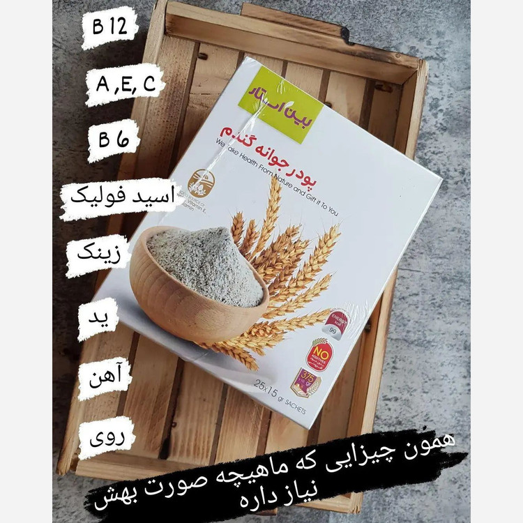 پودر جوانه گندم اصل و اورجینال