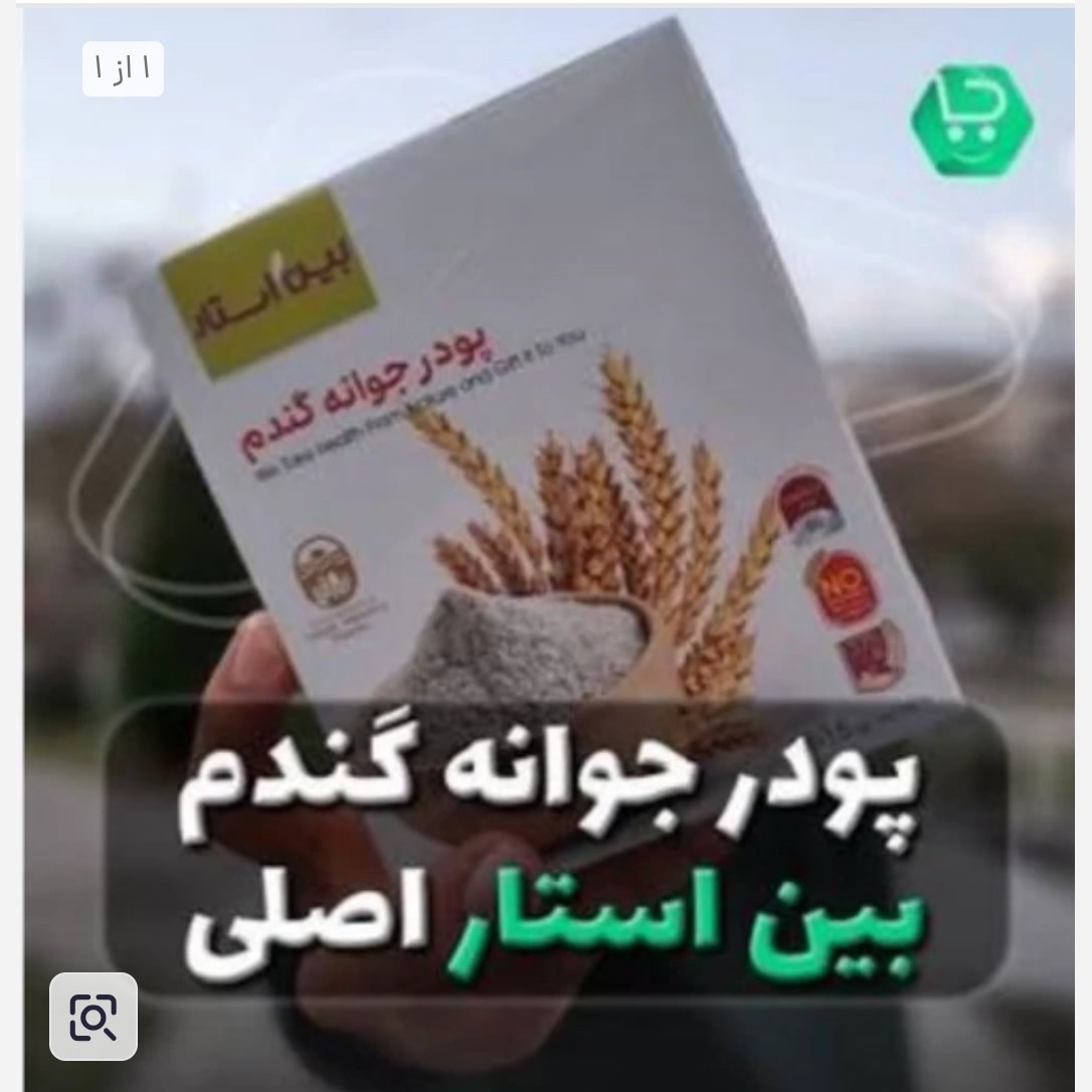 پودر جوانه گندم اصل