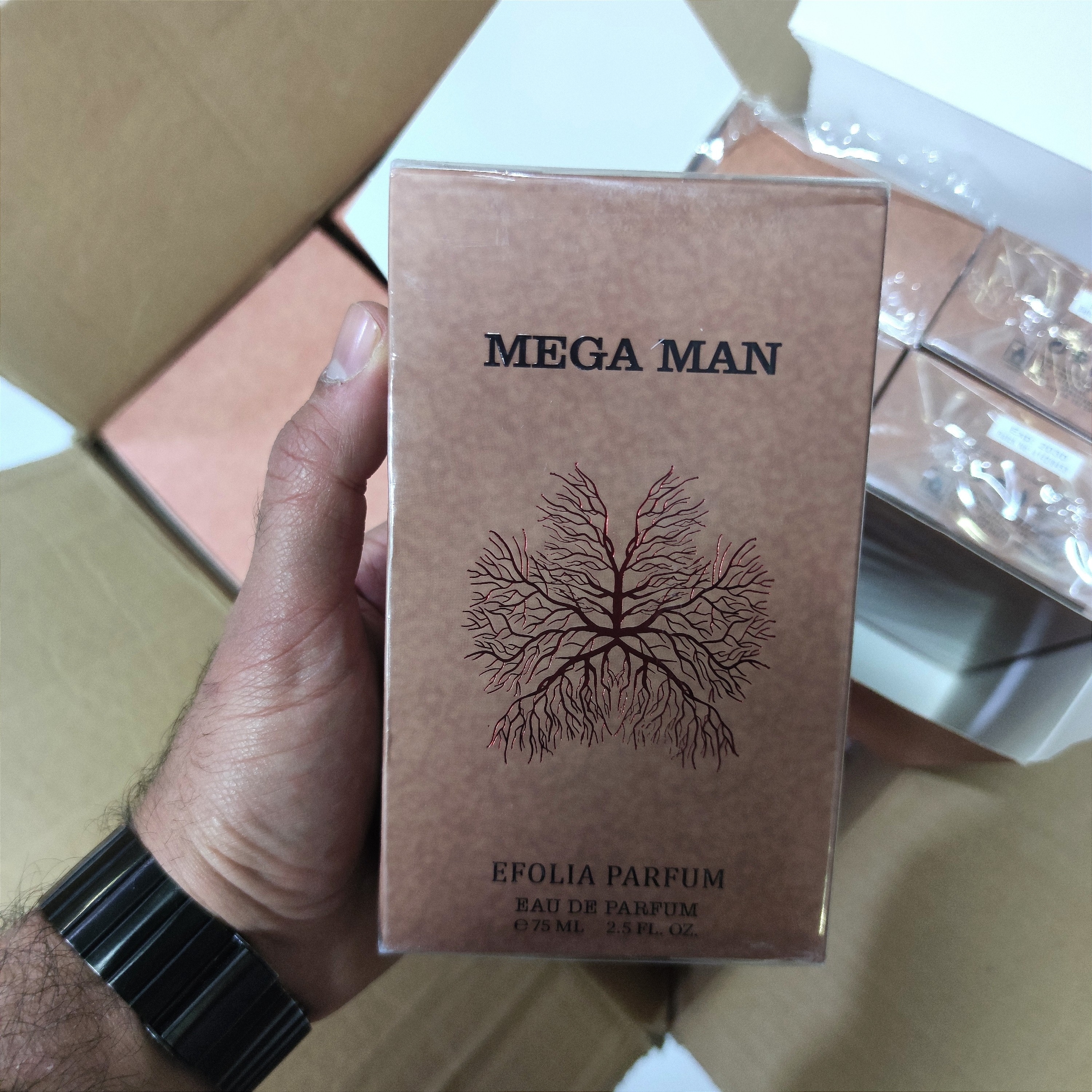 ادکلن مگاماره شرکت ایفولیا امارات اصلی 75ml