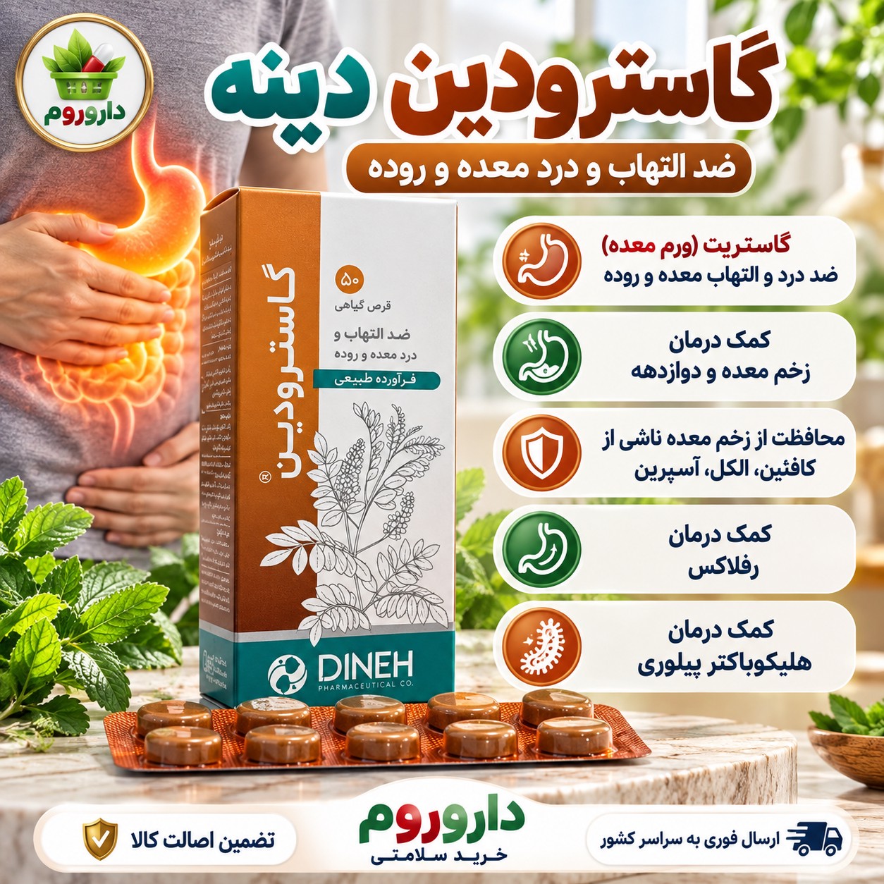 قرص گیاهی گاسترودین دینه 50 عدد ضد التهاب و درد معده و روده