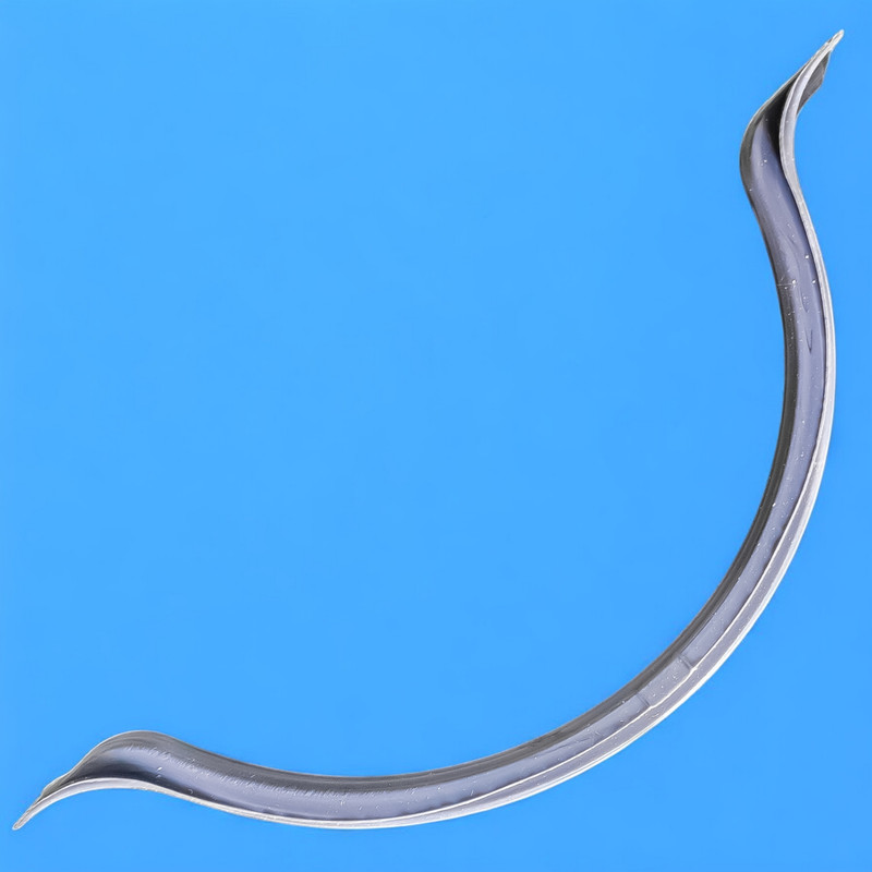 واشر هلالی کارتل روغن خودرو فورس مدل 004031 کد M15TC مناسب برای شاهین بسته ۲ عددی